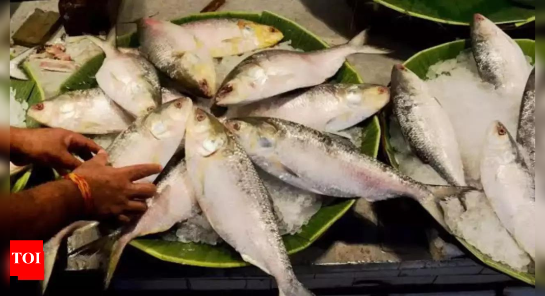 Bangladesh reverses ban on export of Hilsa fish to India ahead of Durga Puja