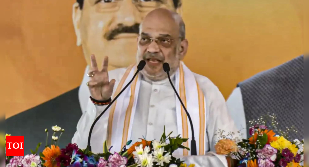 Vote for ‘dynastic’ NC-Congress, PDP to serve Pakistan’s intentions in J&K: Amit Shah