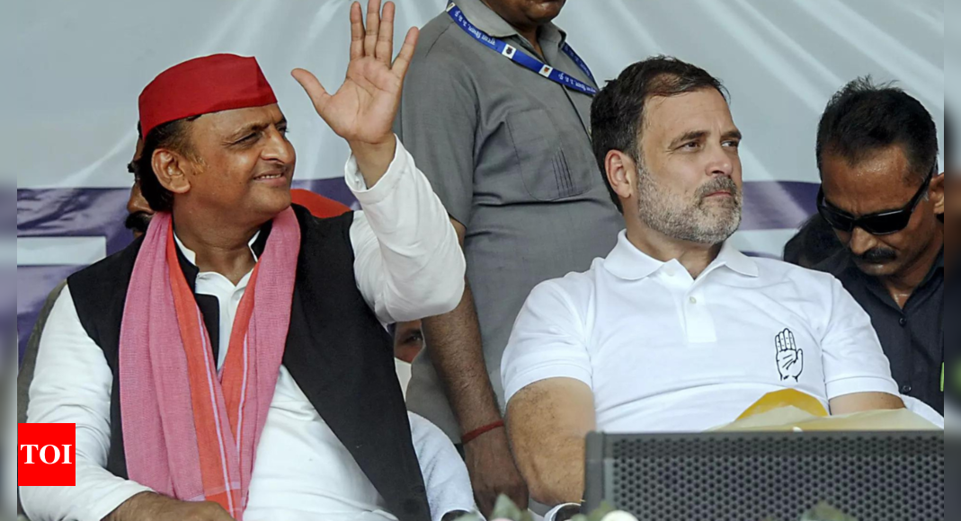 ‘Alliance with Congress will continue’: Akhilesh Yadav after Haryana polls