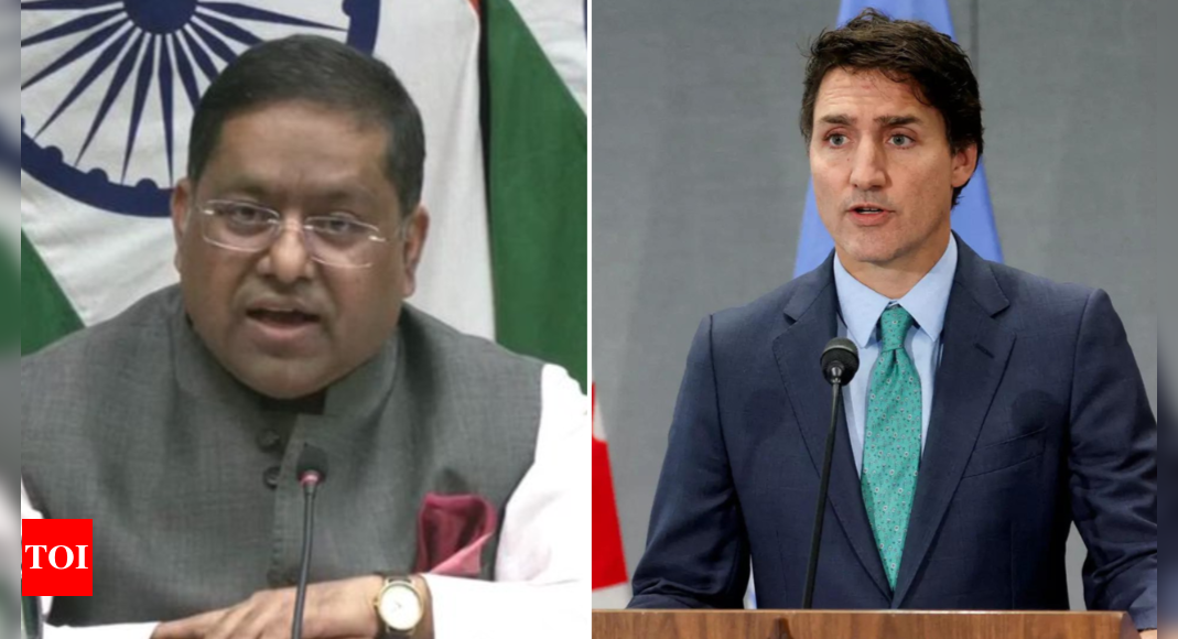 Trudeau alone responsible for damage to India-Canada relations: MEA | India News