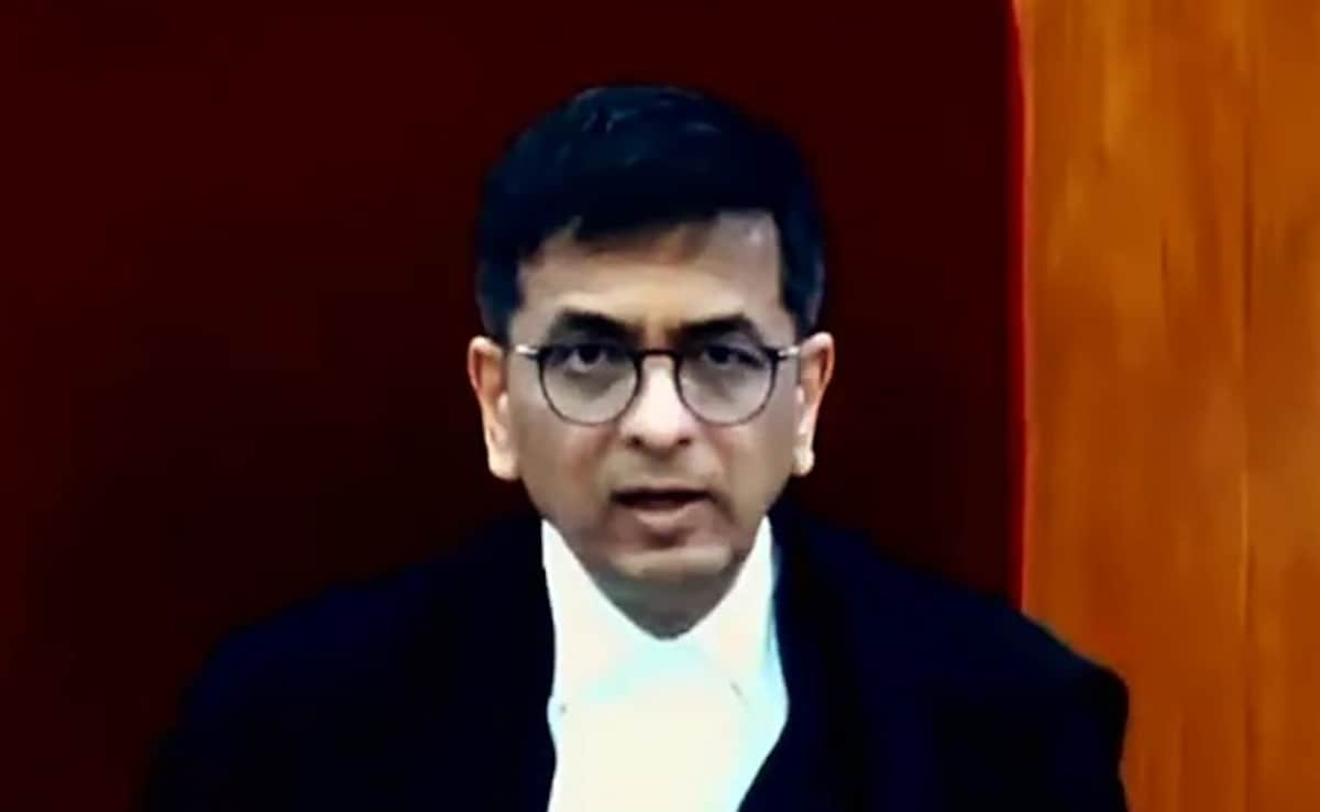 Chief Justice DY Chandrachud Says “Stopped Morning Walks” Due To Pollution