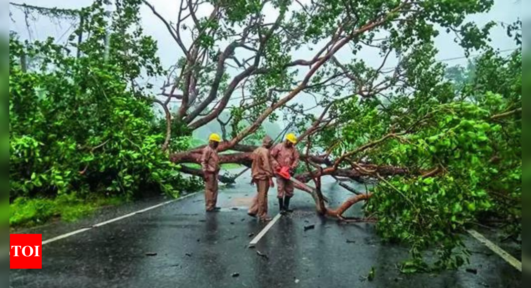 Two anticyclones, mangrove forest save Odisha from Cyclone Dana’s fury | India News