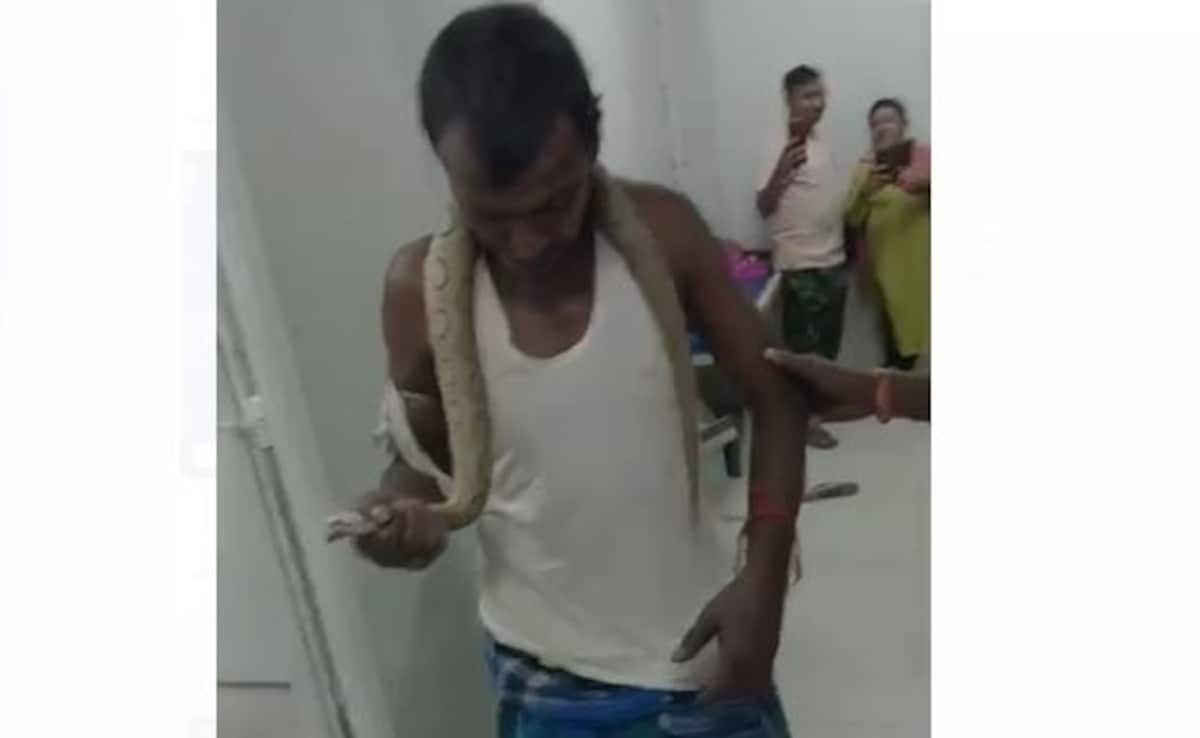 Bitten By Snake, Man Walks Into Bihar Hospital With Reptile In Hand