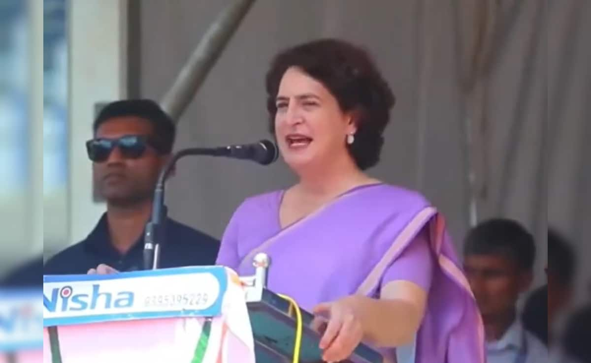 Priyanka Gandhi, Wayanad: Campaigned In Polls For 35 Years, 1st Time For Myself: Priyanka Gandhi