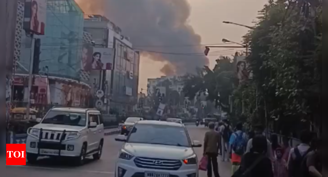 Fire breaks out at Sandhya Bazar in south Kolkata, no injuries reported