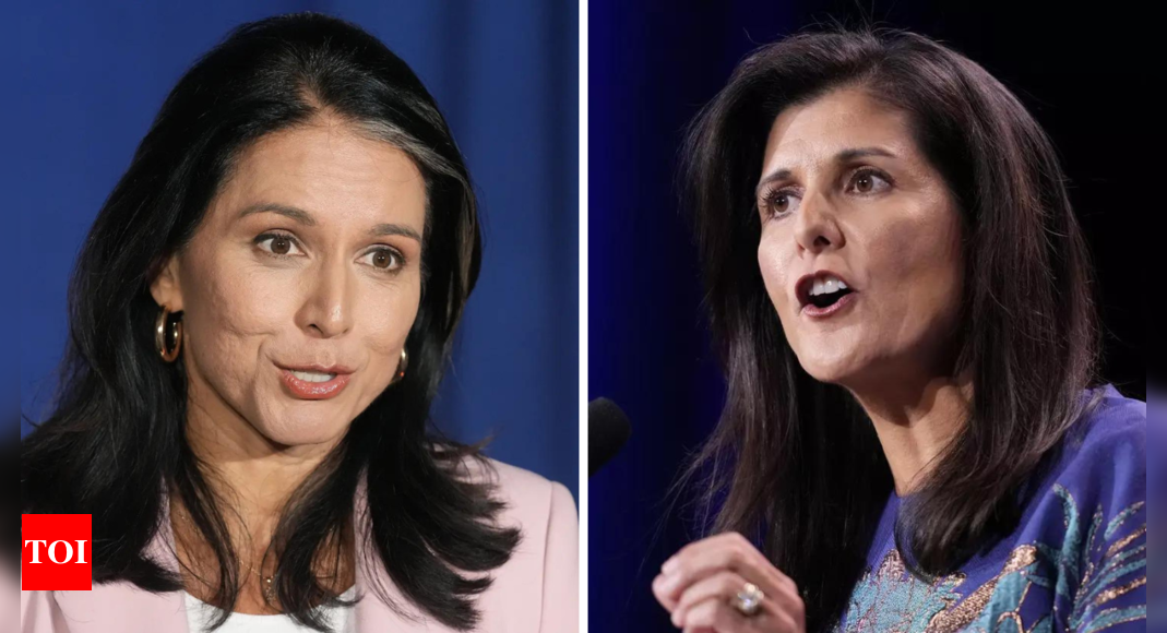 ‘Not a place for Russian sympathiser’: Trump ally Nikki Haley opposes Tulsi Gabbard’s appointment as US Director of National Intelligence