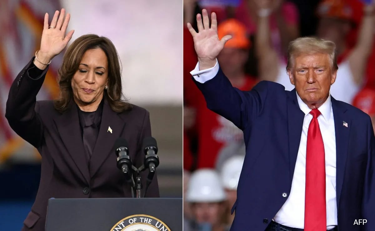 Trump’s 2024 Red Wave Explained In Graphs, And Where Harris Fell Short